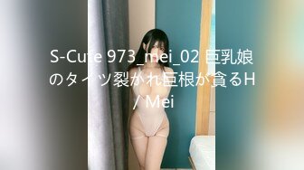 S-Cute 973_mei_02 巨乳娘のタイツ裂かれ巨根が貪るH／Mei