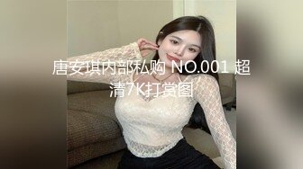 唐安琪内部私购 NO.001 超清7K打赏图