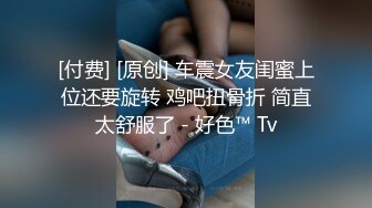 [付费] [原创] 车震女友闺蜜上位还要旋转 鸡吧扭骨折 简直太舒服了 - 好色™ Tv