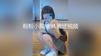 粉粉小胸脯91验证视频