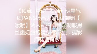 《顶流✅重磅✅资源》明星气质PANS极品大奶S级御姐【暖暖】诱人私拍，民国制服黑丝露奶露鲍镜头感极强，摄影师骚话真多2