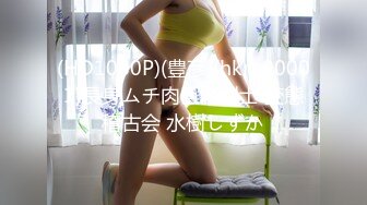 (HD1080P)(豊彦)(hkry00001)長身ムチ肉巨乳剣士 変態稽古会 水樹しずか