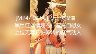 爱豆传媒IDG5411同城约会之租个女友回家拜年