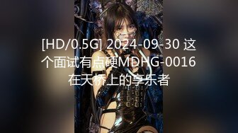 [HD/0.5G] 2024-09-30 这个面试有点硬MDHG-0016在天桥上的享乐者