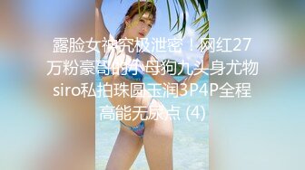 趁醉把朋友老婆内射了（还有6部作品，买的看简界）