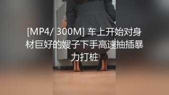 [MP4/ 300M] 车上开始对身材巨好的嫂子下手高速抽插暴力打桩