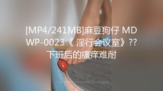 [MP4/241MB]麻豆狗仔 MDWP-0023《 淫行会议室》??下班后的瘙痒难耐