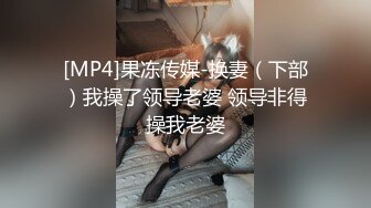 [MP4]果冻传媒-换妻（下部）我操了领导老婆 领导非得操我老婆