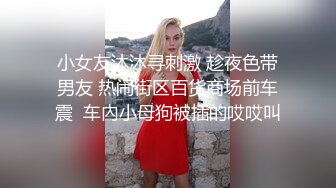 小女友沐沐寻刺激 趁夜色带男友 热闹街区百货商场前车震  车內小母狗被插的哎哎叫