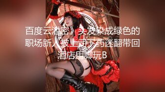 魔手CD【2023】《诱惑丝系列》（二）黑丝美女