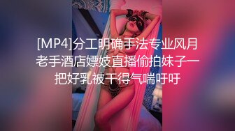 [MP4]分工明确手法专业风月老手酒店嫖妓直播偷拍妹子一把好乳被干得气喘吁吁