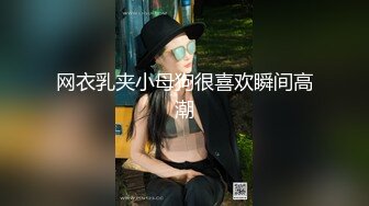 网衣乳夹小母狗很喜欢瞬间高潮