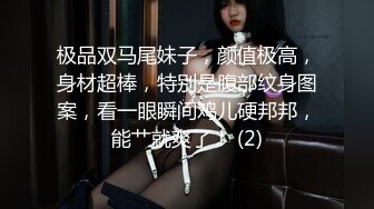 极品双马尾妹子，颜值极高，身材超棒，特别是腹部纹身图案，看一眼瞬间鸡儿硬邦邦，能艹就爽了！ (2)