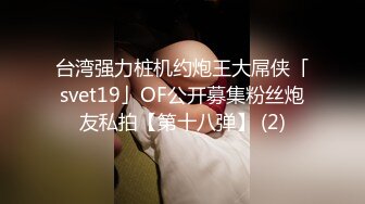 台湾强力桩机约炮王大屌侠「svet19」OF公开募集粉丝炮友私拍【第十八弹】 (2)