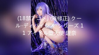 (18禁アニメ) (無修正) クール･ディバイシス･シリーズ 11 アイドル堕天使 理奈