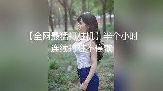 【全网最猛打桩机】半个小时连续打桩不停歇