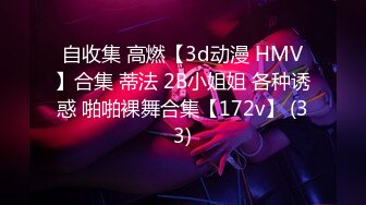 自收集 高燃【3d动漫 HMV】合集 蒂法 2B小姐姐 各种诱惑 啪啪裸舞合集【172v】 (33)