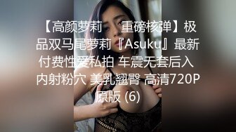 【高颜萝莉❤️重磅核弹】极品双马尾萝莉『Asuku』最新付费性爱私拍 车震无套后入 内射粉穴 美乳翘臀 高清720P原版 (6)