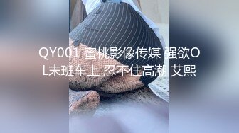 QY001 蜜桃影像传媒 强欲OL末班车上 忍不住高潮 艾熙