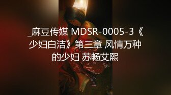 _麻豆传媒 MDSR-0005-3《少妇白洁》第三章 风情万种的少妇 苏畅艾熙