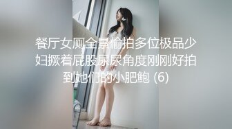 餐厅女厕全景偷拍多位极品少妇撅着屁股尿尿角度刚刚好拍到她们的小肥鲍 (6)