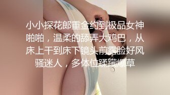 小小探花郎重金约到极品女神啪啪，温柔的舔弄大鸡巴，从床上干到床下镜头前露脸好风骚迷人，多体位蹂躏爆草