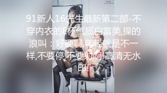 91新人16先生最新第二部-不穿内衣的E杯气质白富美,操的浪叫：好硬啊,年轻就是不一样,不要停,不要射啊!高清无水印!