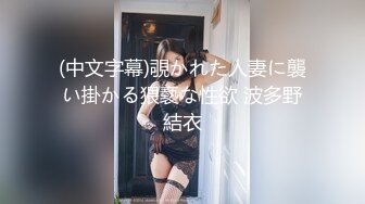 DANDY-666 「和女友都快要結婚了 美人服務生讓看似幸福的男友摸濕潤小穴 引誘無套性愛」VOL 1【中文字幕】