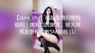 【sora_ch_】高颜值情侣推特福利！美乳白虎嫩穴，被大屌男友各种调教SM啪啪 (1)