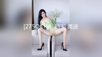 [275OCHA-113] 美波