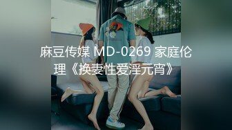 麻豆传媒 MD-0269 家庭伦理《换妻性爱淫元宵》