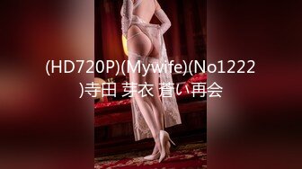 (HD720P)(Mywife)(No1222)寺田 芽衣 蒼い再会