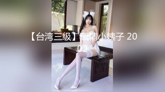 【台湾三级】风情小姨子 2002