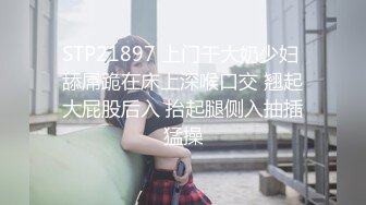 [MP4/1007]麻豆傳媒 MD-0225騷女水電工-玥可岚