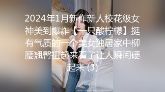 2024年1月新作新人校花级女神美到爆炸【一只酸柠檬】挺有气质的一个美女独居家中柳腰翘臀扭起来看了让人瞬间硬起来 (3)