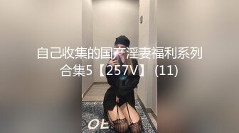 自己收集的国产淫妻福利系列合集5【257V】 (11)