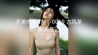 麻豆传媒 MDHT-0012《奇淫旅社》枕头山的性爱抱枕