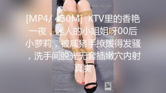 [MP4/ 430M]  KTV里的香艳一夜，迷人的小姐姐呀00后小萝莉，被咸猪手撩拨得发骚，洗手间脱光无套插嫩穴内射真爽