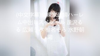 无码人妻AⅤ一区二区三区软件