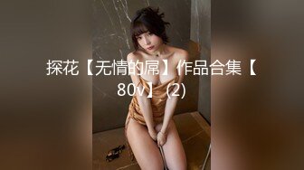 探花【无情的屌】作品合集【80v】 (2)