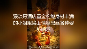 猥琐哥酒店重金约炮身材丰满的小姐姐换上情趣黑丝各种姿势啪啪