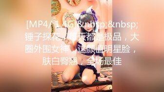 [MP4/ 1.4G]&nbsp;&nbsp;锤子探花，每天都是极品，大圈外围女神，这颜值明星脸，肤白臀翘，全场最佳