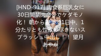 [HND-917] 肉食系巨乳女に30日間禁肉命令でケダモノ化！ 朝から晩まで1日中、1分たりとも性欲の尽きないスプラッシュ中出し！！ 望月あやか