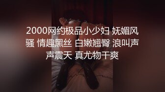 2000网约极品小少妇 妩媚风骚 情趣黑丝 白嫩翘臀 浪叫声声震天 真尤物干爽