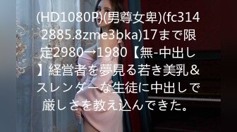 (HD1080P)(男尊女卑)(fc3142885.8zme3bka)17まで限定2980→1980【無-中出し】経営者を夢見る若き美乳＆スレンダーな生徒に中出しで厳しさを教え込んできた。