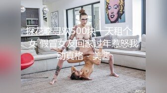 探花李寻欢500块一天租个美女 假冒女友回家过年惹怒我动真格 - 美酱