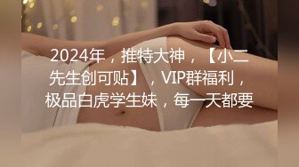 2024年，推特大神，【小二先生创可贴】，VIP群福利，极品白虎学生妹，每一天都要