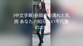 (中文字幕)昼顔妻の濡れた乳房 あなたの知らない平凡妻の本性