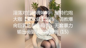 淫荡对白销魂呻吟，推特约炮大咖【夏次健】自传，调教爆肏巨乳肥臀小母狗，无套暴力输出肏到尖叫喊爸爸 (15)