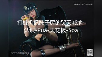 打桩机把妹子尻的哭天喊地-认识-Pua-天花板-Spa